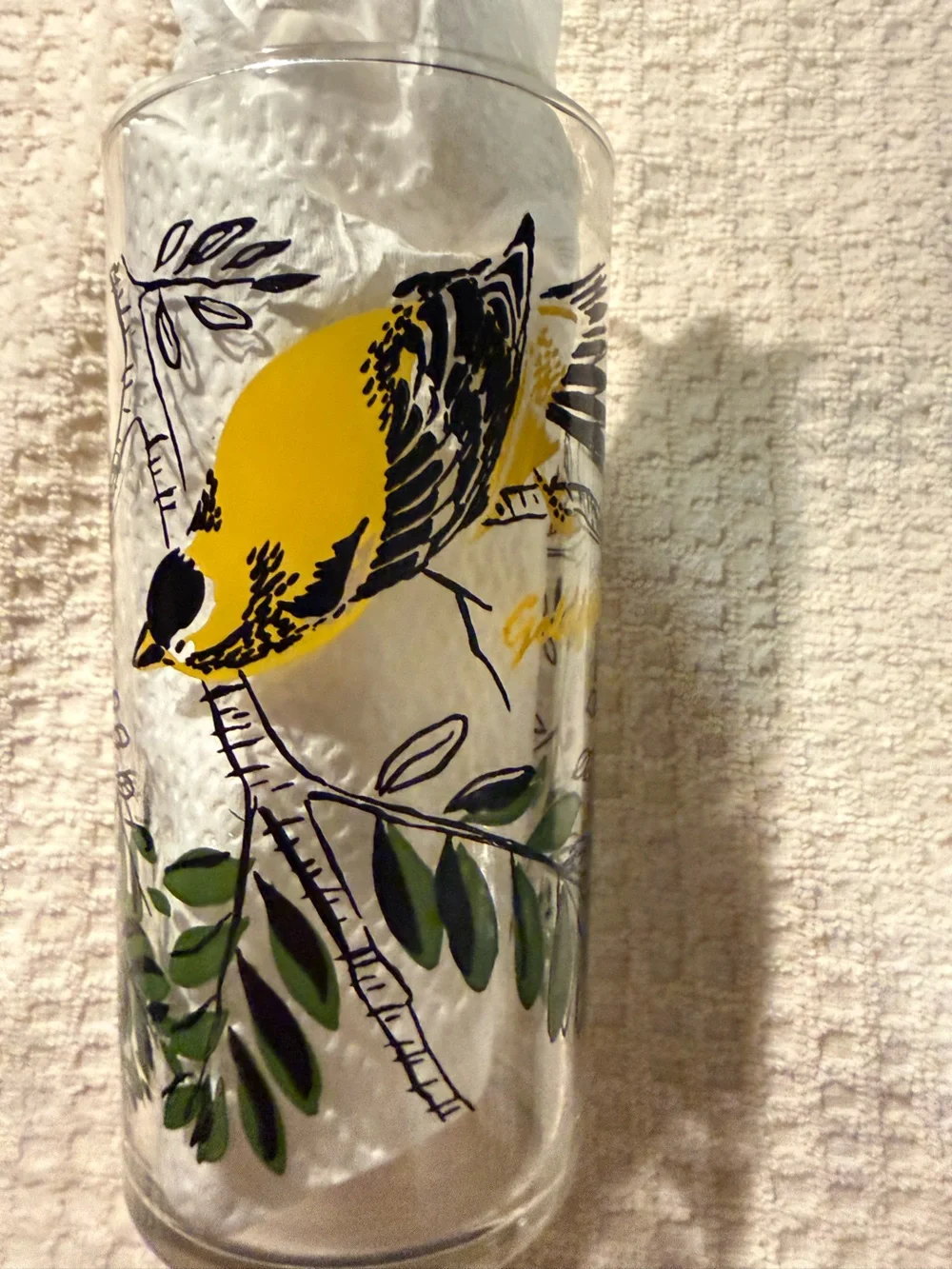 Vintage Bird-Print Glass Tumblers - Colorful Set